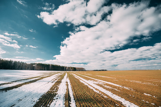 Spring Plowed Field Partly Covered Winter Melting Snow Ready For New Season. Ploughed Field In Early Spring. Farm, Agricultural Landscape Under Scenic Cloudy Sky