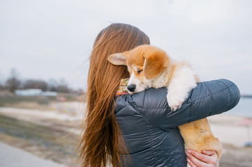 Back view of young girl with little corgi puppy in her hands in park