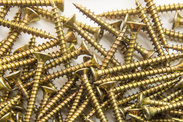 screws on the white background