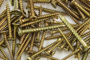 screws on the white background