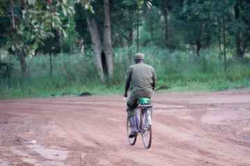 Obraz premium Ziwa park in Uganda