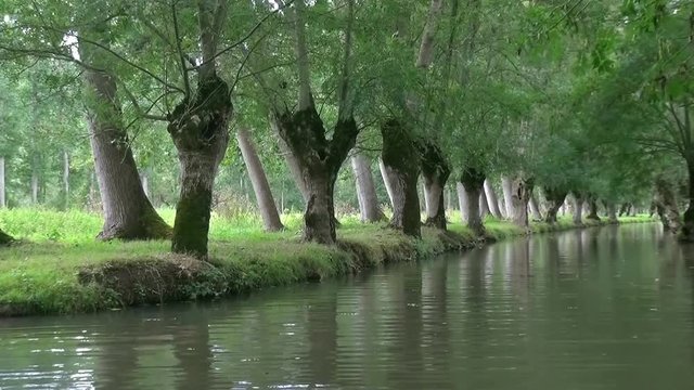 Balade en barque dans le marais Poitevin