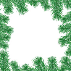 Fototapeta na wymiar Green spruce branches on a white background.