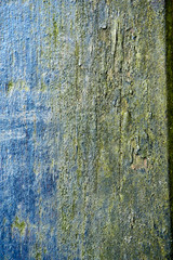 Obraz premium grunge texture of old weathered wood