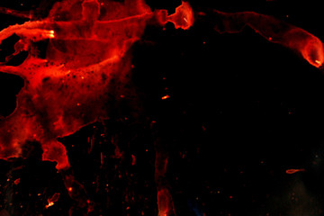 red Abstract background on a black background. photo