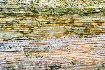 grunge texture of old weathered wood
