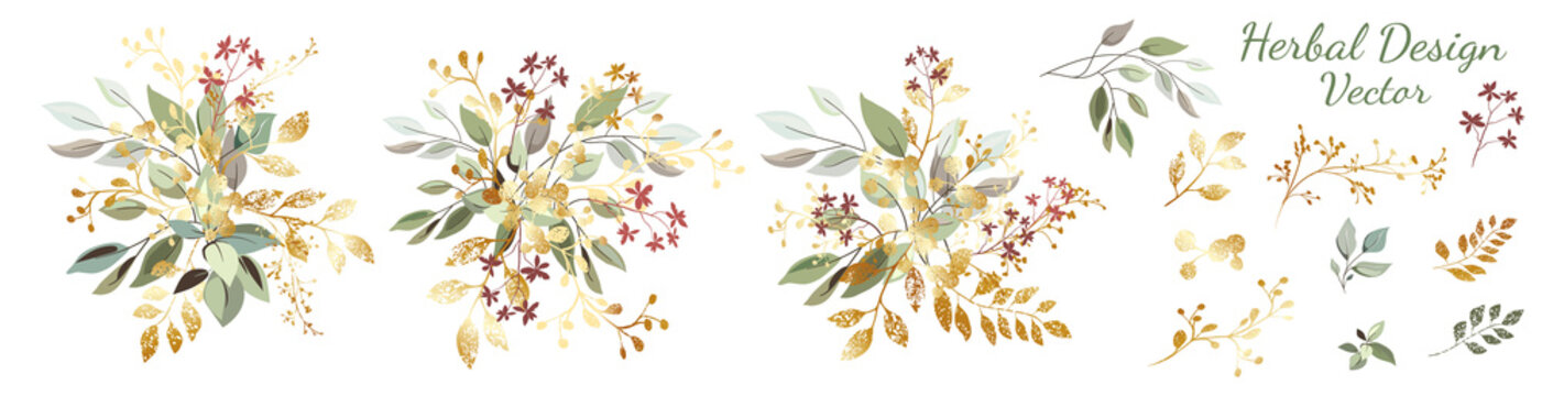 Green leaves with gold. Set: arrangement of leaves and gold elements, branches and ornamental herbs. Vector design.