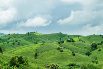 the mountains that full of corn field