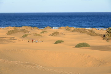 Sandy dunes in famous natural Maspalomas beach. Gran Canaria. Spain