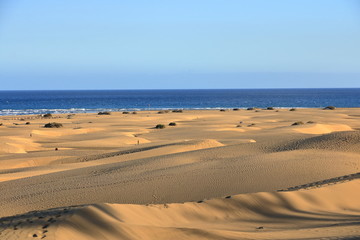 Sandy dunes in famous natural Maspalomas beach. Gran Canaria. Spain