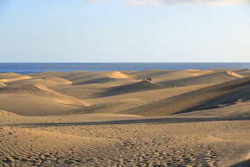 Sandy dunes in famous natural Maspalomas beach. Gran Canaria. Spain