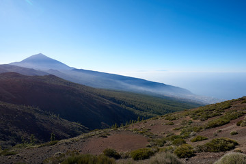 Obraz na płótnie Canvas view of Teide volcano