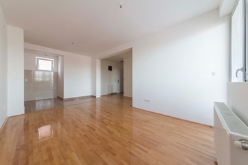 Empty living room 