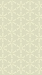 Ornate geometric pattern and two-tone abstract background