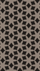Ornate geometric pattern and two-tone abstract background