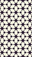 Ornate geometric pattern and two-tone abstract background