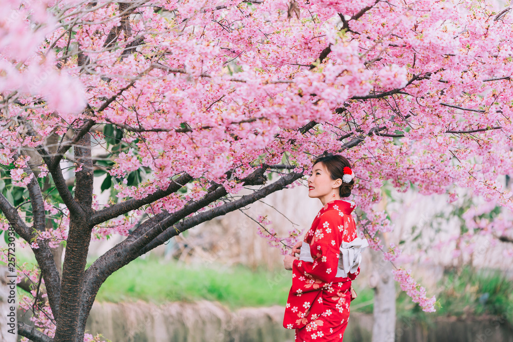 Wall mural Asian woman wearing kimono with cherry blossoms,sakura in Japan.