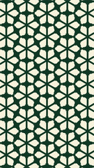 Fototapeta premium Ornate geometric pattern and two-tone abstract background
