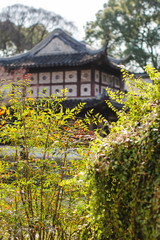 Fototapeta premium Jardin traditionnel de Suzhou 