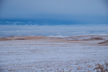 Meditative landscape. Milky Sky