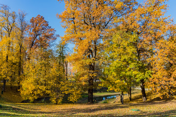 MOSCOW, RUSSIA - October 15, 2018:  Autumn trees and river in Tsaritsyno park