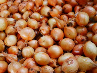 organic onion market,concept vegetable background