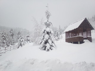 Winter gazebo