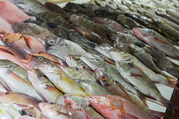 Fische, Markt