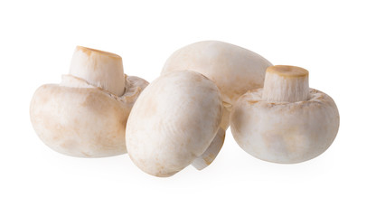 White champignon mushrooms, Champignon Isolated on White Background
