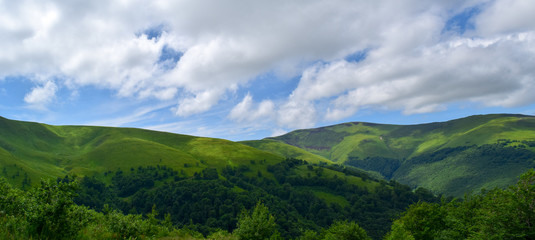 Summer mountains green grass and blue sky landscape.