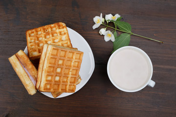 Delicious Viennese waffle, cup of cocoa and jasmine flower. Dark wooden background, top view.