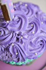 detail fragment The little birthday was smeared into a cake. The use of the first cake. Smash cake. holiday decor photo shoot crush cake