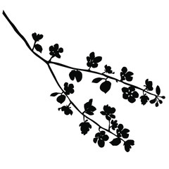 Vector silhouette of the branches of Apple or cherry trees with flowers, black color, isolated on white background