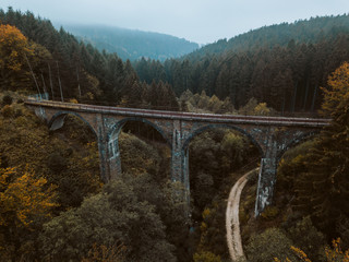 Alte Eisenbahnbr&uuml;cke im Wald