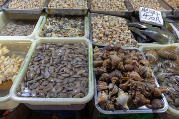 fresh shellfish in a chinese market