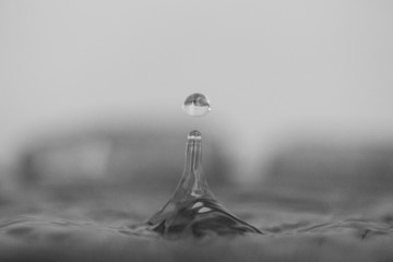 Drop of water in black and white background.Selective focus close up water.