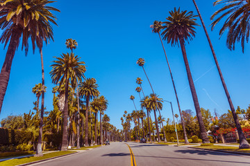 Vintage toned famous palms of Beverly Hills along the street in Los Angeles