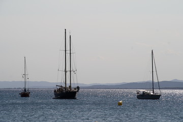 Fototapeta premium Paisaje