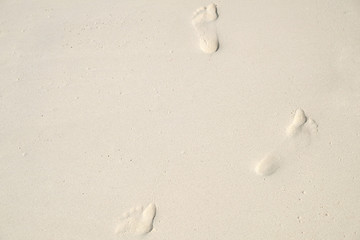 Footprints in the wet white sand