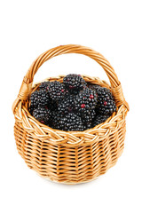 Fototapeta na wymiar Blackberries in wicker basket isolated on white background
