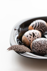 Animal print. Stylish set of Easter eggs on a white background. Easter concept, selective focus