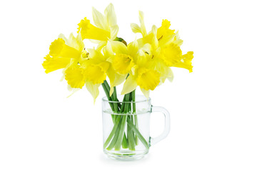 Yellow daffodils in glass cup