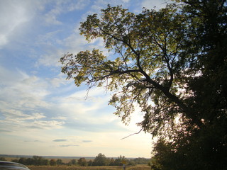 autumn landscape with blue sky and white clouds