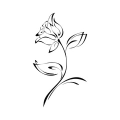 one stylized rose on a stem with leaves in black lines on a white background © LIUBOV