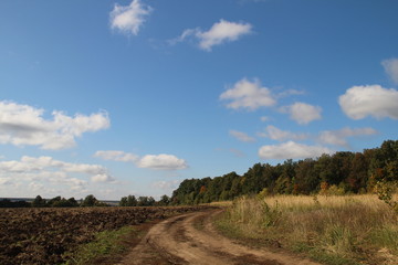 Fototapeta na wymiar autumn landscape - country road under a blue sky