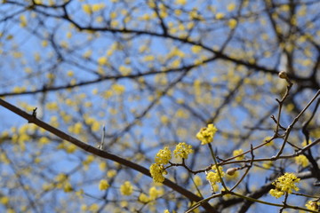 Spring.