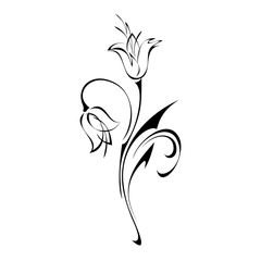 two stylized buds on a stem with curls in black lines on a white background