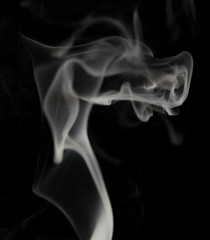 Abstract white smoke like dragon head on black background