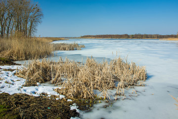 Grass and snow on the edge of a frozen lake. Horizon and blue sky