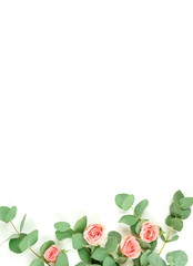 Flowers composition background. pink  roses and eucalyptus leaves branches on white background top view.  Floral card. Copy space
